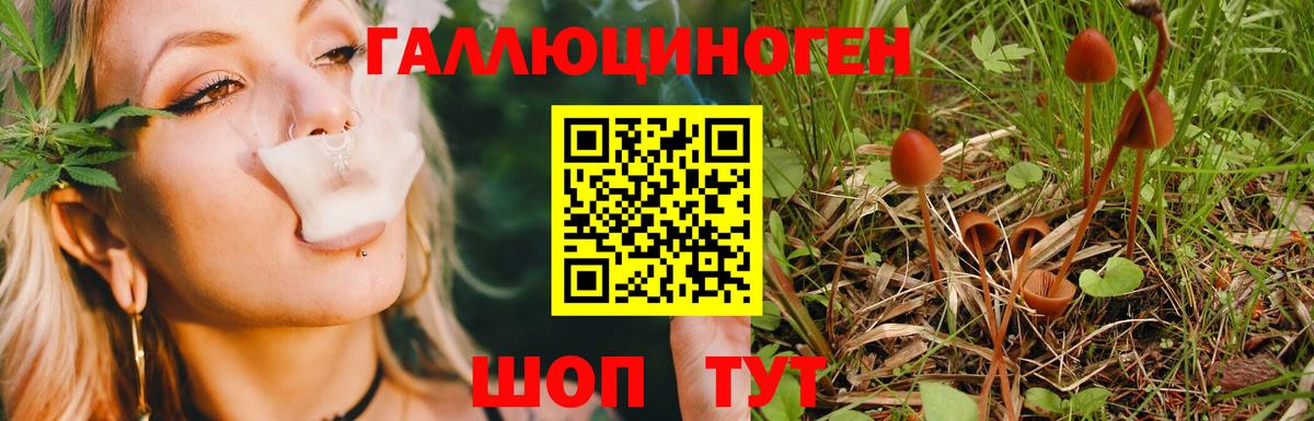 Псилоцибиновые грибы Magic Shrooms Спасск-Дальний